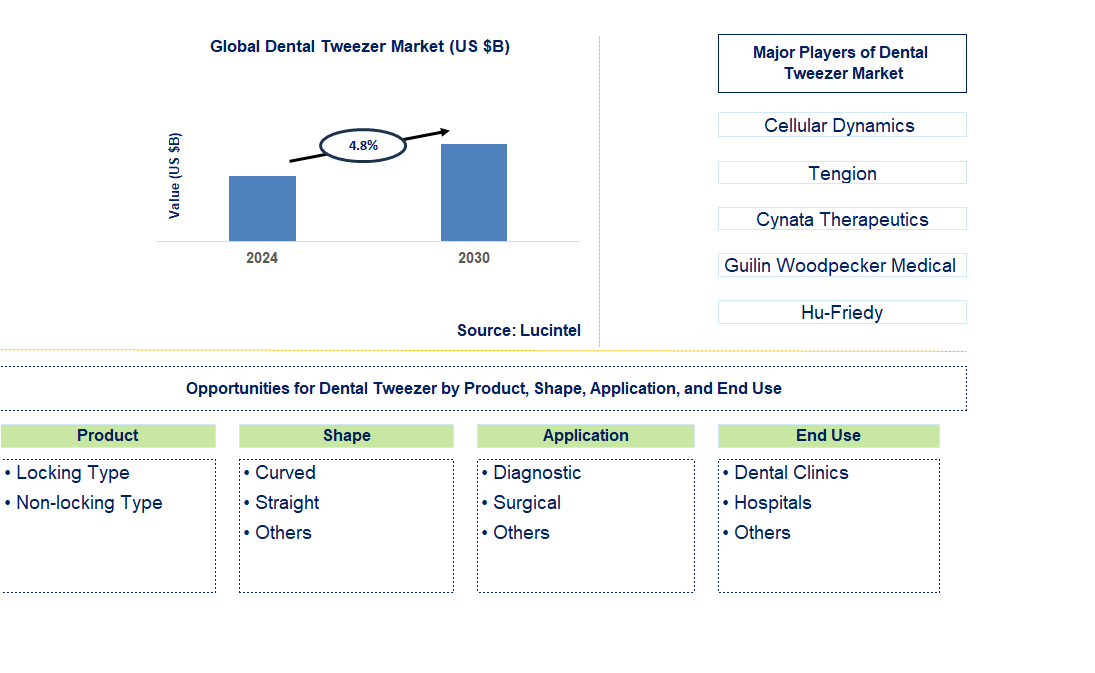 Dental Tweezer Trends and Forecast